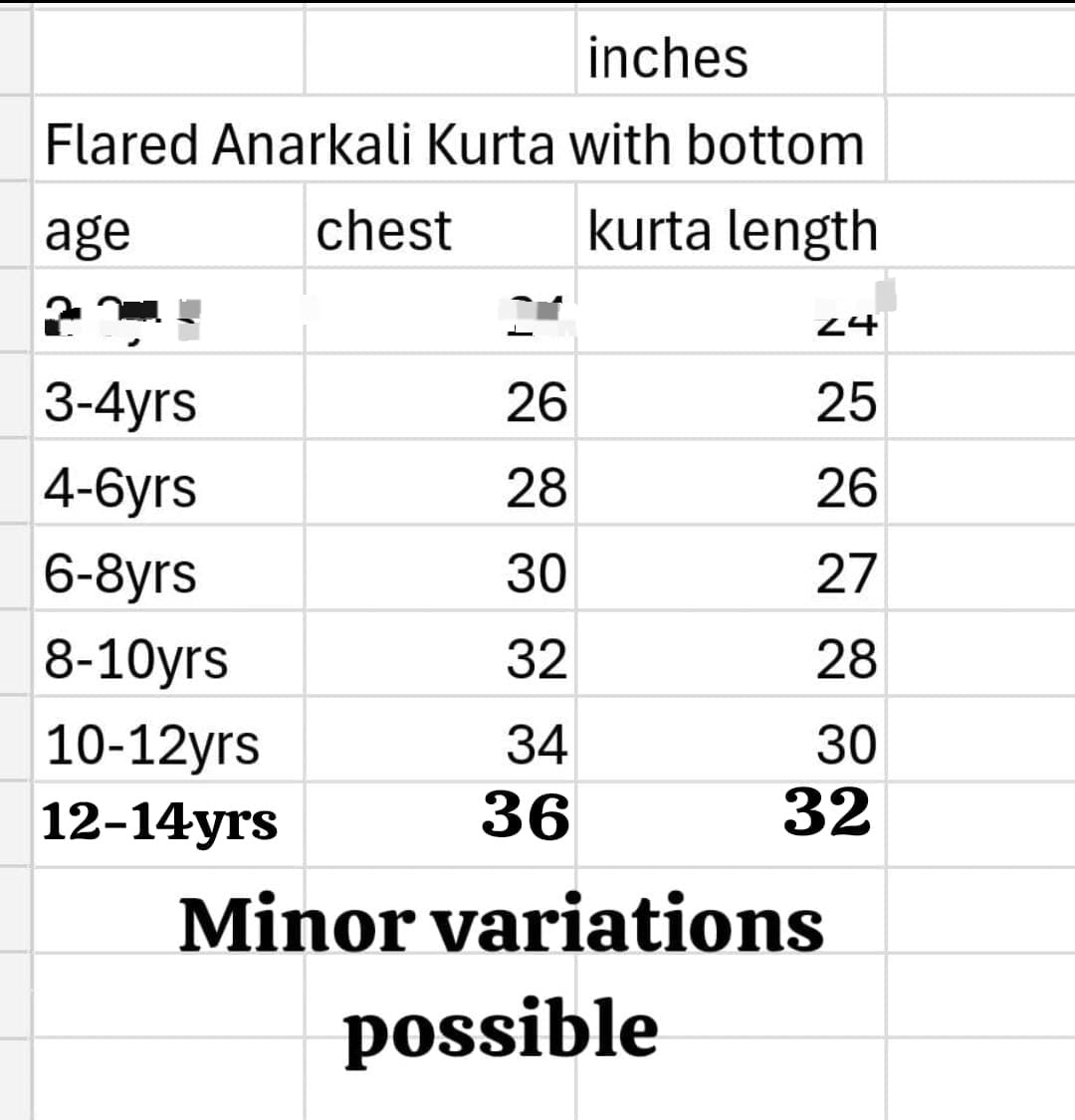 Girls Anarkali Suit